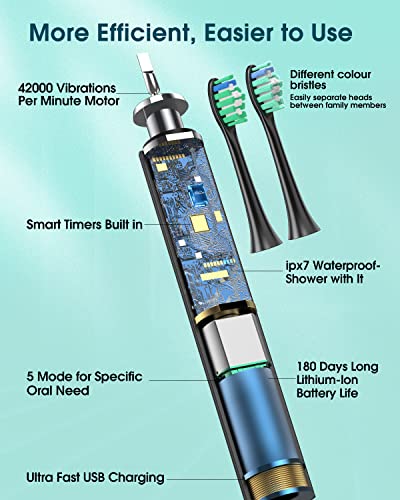 Elektrische Zahnbürste Schallzahnbürste, eine Ladung für 180 Tage!
